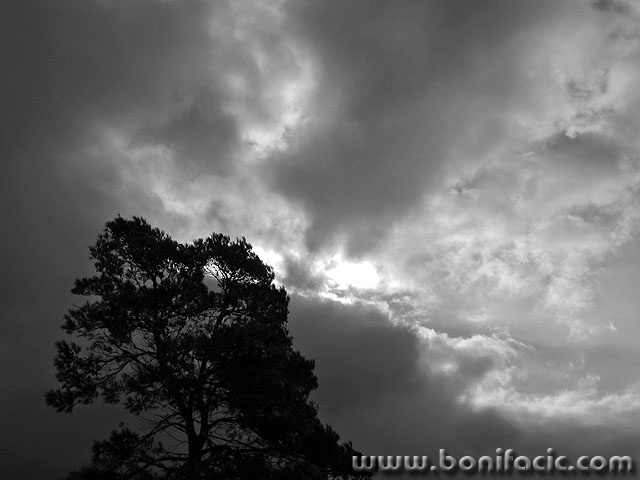 stablonevera1 copymal