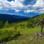 mrtvostablolika1 copymal