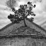 nerezisce6tif copymal