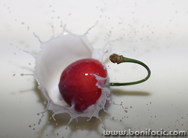 macro___Splash___