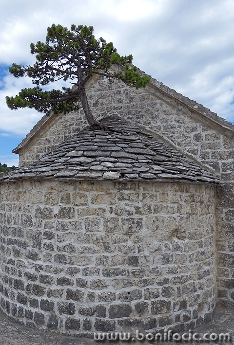 nerezisce6 copymal