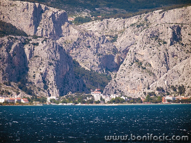 omis1 copymal