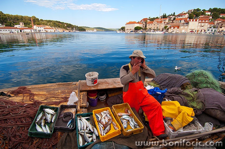 milna5 copymal