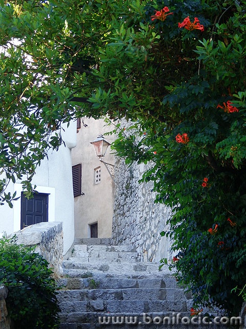 novi7 copymal