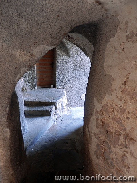 novi1 copymal