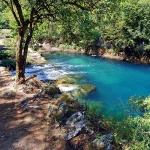 mreznicaizletiste1 copymal