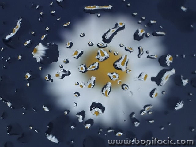 macro___Universe___