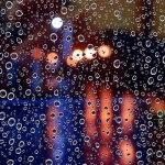 kapistaklokisa2 copymal