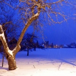 josipdolsnig4 copymal