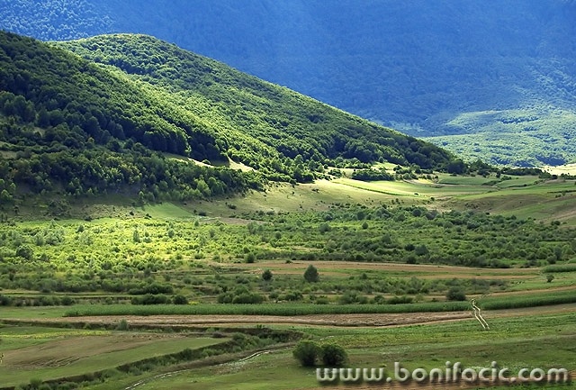 nature___Dry Lake___Svica, Croatia.