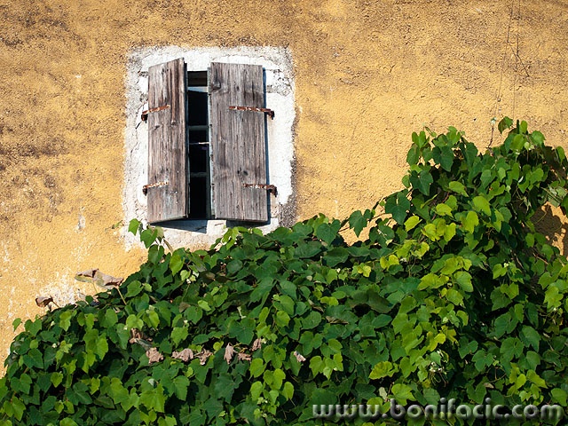 P9123366 copy