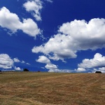 brinjesijeno1 copymal