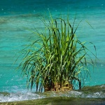 2ND_7375 copy copymal