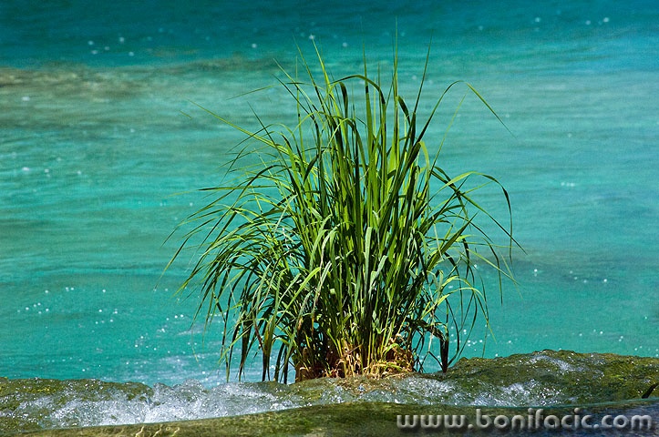 2ND_7375 copy copymal