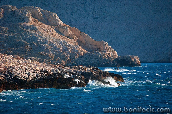 2ND_7230 copy copymal