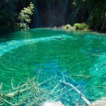 D2X_4841 copy copymal