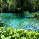 D2X_4831 copy copymal