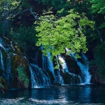 2ND_7559 copy copymal