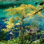 2ND_7594 copy copymal