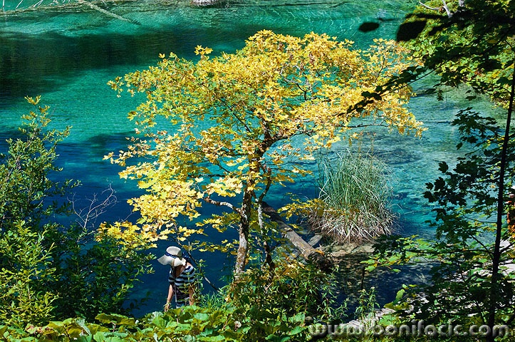 2ND_7594 copy copymal