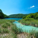 D2X_4713 copy copymal