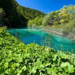 D2X_4802 copy copymal