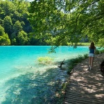 D2X_4651 copy copymal