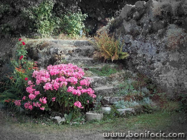 gomirjeskalerozice1 copymal