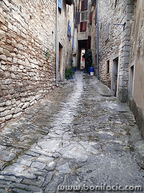 buzet17 copymal