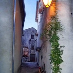 guvnicvecer1 copymal