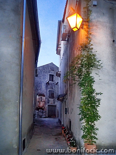 guvnicvecer1 copymal