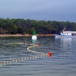 bovebrodsvjetionik1 copymal