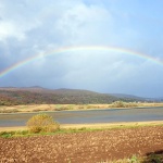 sabljaciduga2 copyml