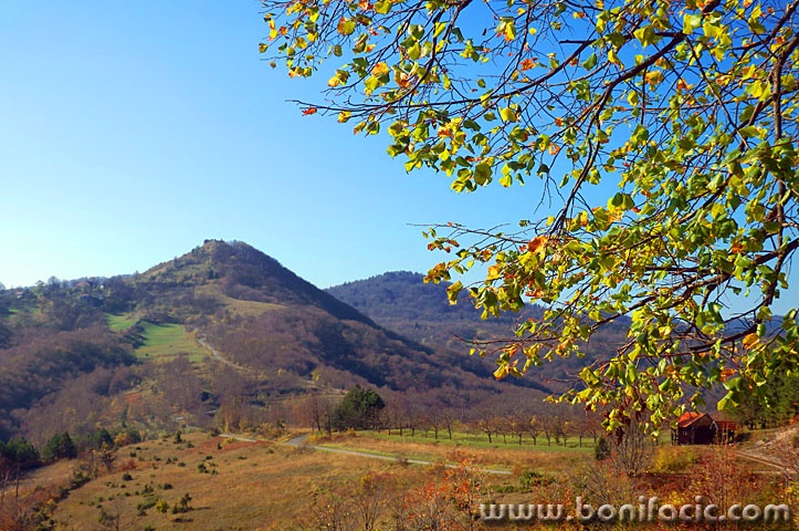 gradina1 copymal