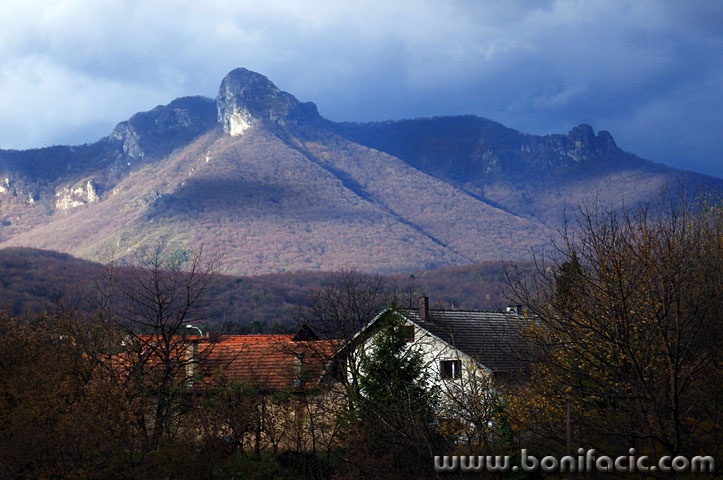 ogulinkuceklek1 copymal