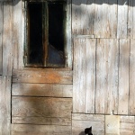 mackaponestraskradnik1 copymal