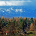 kucesumaklek2 copymal