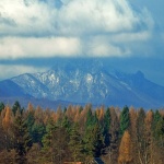 kucesumaklek1 copymal