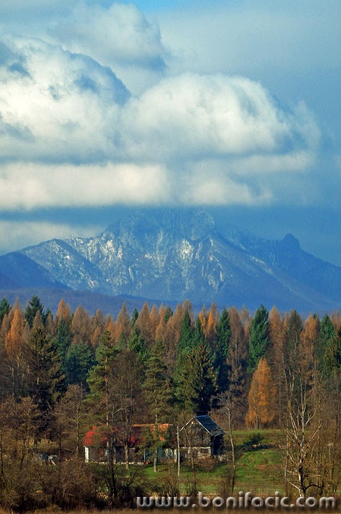 kucesumaklek1 copymal