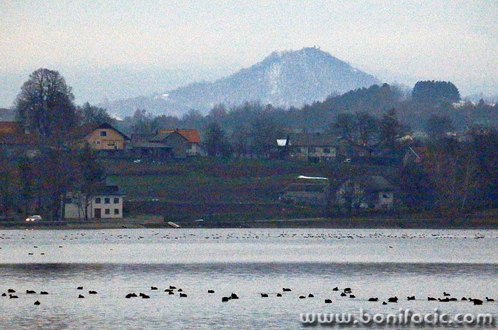 sabljacigradina1 copymal