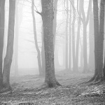 delnicesumamaglaBW2mal