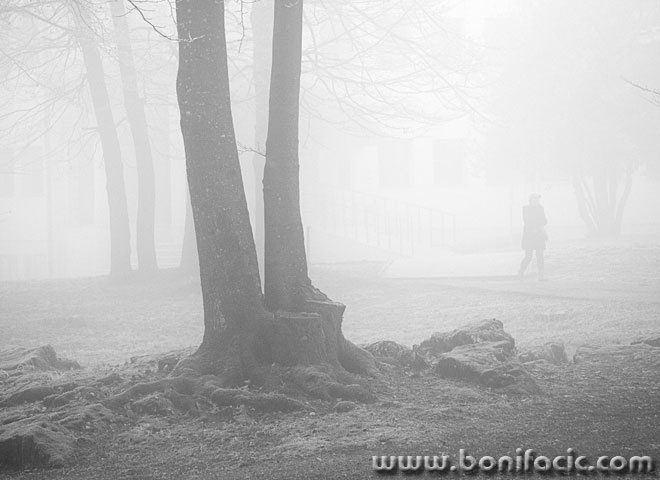 delnicesumamaglaBW3mal