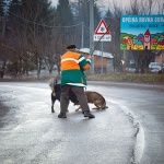 ravnagoraprijateljdjeceneprijateljpasa1mal