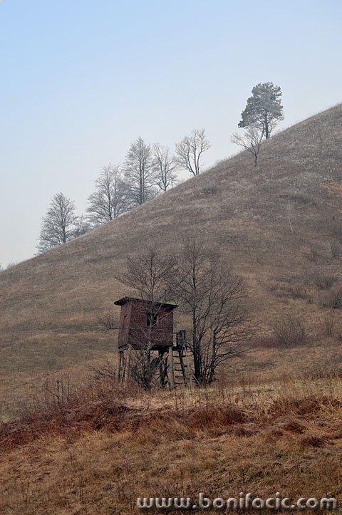 cekabrodnakupi1mal