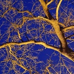 stablokupaliste1.mal