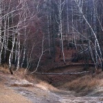 brezemrzlavodica1mal