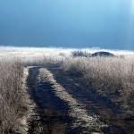 gorskikotarmagla1mal