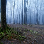 maglasumadelnice2mal