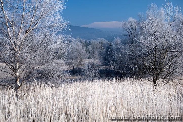 ravnagoratravamraz1mal