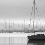 jedrilicamarinamaglaBW1